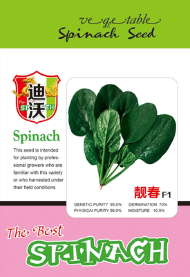 靓春