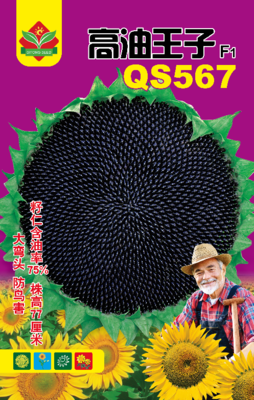 高油王子
